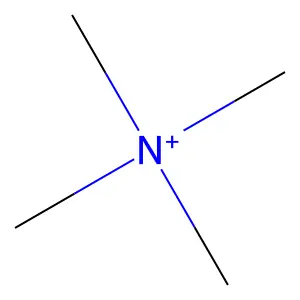 Tetramethylammonium structure