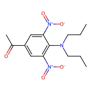 Buban 37 structure
