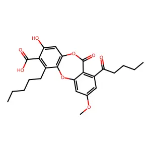 Lobaric acid structure