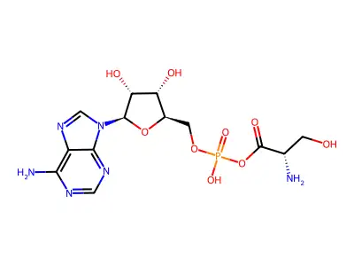 Seryl-adenylate structure
