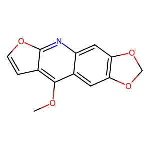 Maculine structure