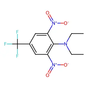 Nitrofor structure