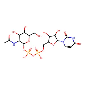 Udpgnac structure
