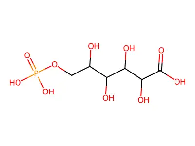 1pgp structure