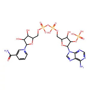 [[(2R,3R,4R,5R)-5-(6-aminopurin-9-yl)-3-hydroxy-4-phosphonooxyoxolan-2-yl]methoxy-hydroxyphosphoryl] [(2R,3S,4R,5R)-5-(3-carbamoylpyridin-1-ium-1-yl)-3,4-dihydroxyoxolan-2-yl]methyl phosphate structure
