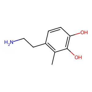 Compound C9H13NO2 structure