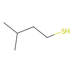 Compound C5H12S structure