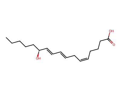 12-Hht structure