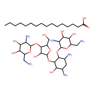 Neomycin palmitate structure