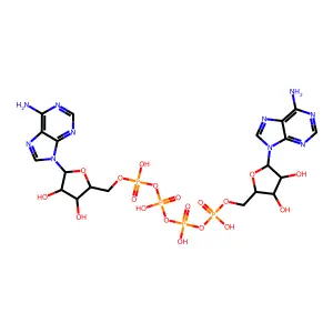 Diadenosine tetraphosphate structure