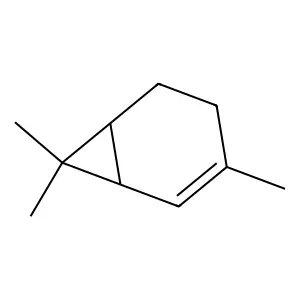 Compound C10H16 structure