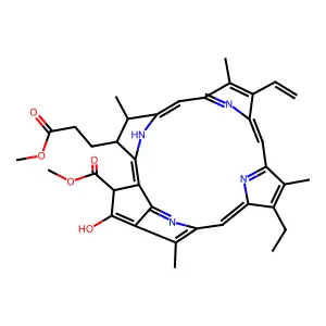 Methyl phaeophorbide structure