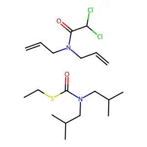 SUTAN E structure