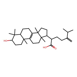 Eburicoic acid structure