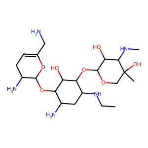 netilmicin structure