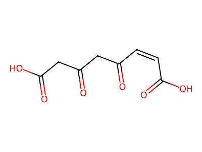 Fumarylacetoacetate structure