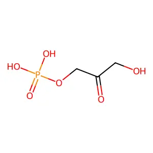 DIHYDROXYACETONE PHOSPHATE structure