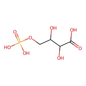 4-phosphoerythronate structure