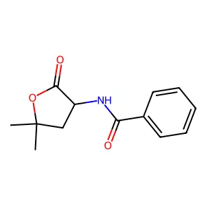 N-(5,5-dimethyl-2-oxooxolan-3-yl)benzamide structure