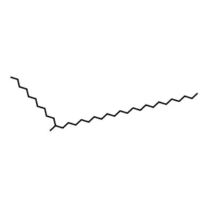 11-methyltritriacontane structure