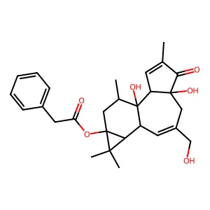 12-Deoxyphorbolphenylacetate structure