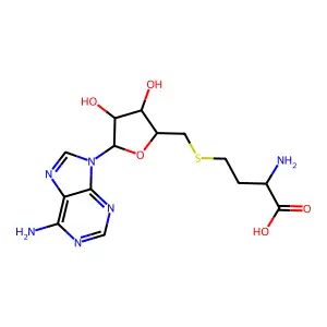 2-amino-4-[[(2S,3S,4R,5R)-5-(6-aminopurin-9-yl)-3,4-dihydroxyoxolan-2-yl]methylsulfanyl]butanoic acid structure