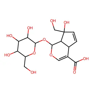 Monotropein structure