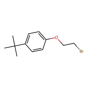 1-(2-bromoethoxy)-4-tert-butylbenzene structure