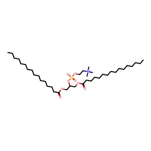 1,3-di(hexadecanoyloxy)propan-2-yl 2-(trimethylazaniumyl)ethyl phosphate structure