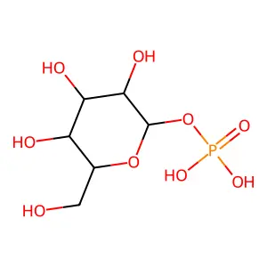 alpha-D-glucose-1-phosphate structure