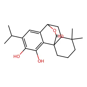 carnosol structure