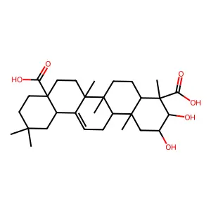 Medicagenic acid structure