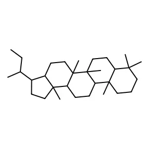 3-butan-2-yl-5a,5b,8,8,11a,13b-hexamethyl-1,2,3,3a,4,5,6,7,7a,9,10,11,11b,12,13,13a-hexadecahydrocyclopenta[a]chrysene structure