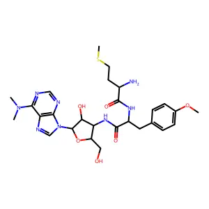 Methionylpuromycin structure