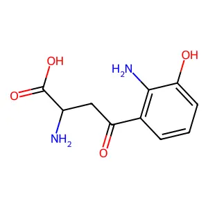 Compound C10H12N2O4 structure