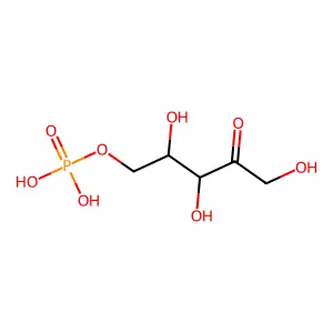xylulose-5-phosphate structure