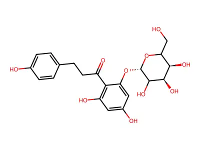 Phlorizin structure