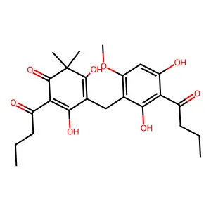 2-butanoyl-4-[(3-butanoyl-2,4-dihydroxy-6-methoxyphenyl)methyl]-3,5-dihydroxy-6,6-dimethylcyclohexa-2,4-dien-1-one structure