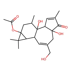 Prostratin structure