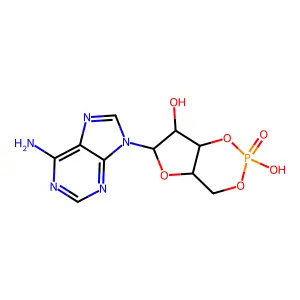 Cyclic AMP structure