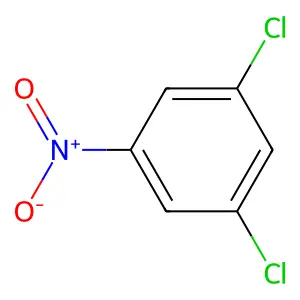 Compound C6H3Cl2NO2 structure