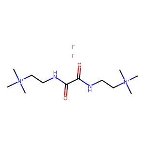 GC 41 structure