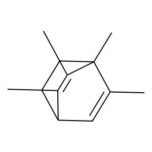 1,2,3,6-tetramethylbicyclo[2.2.2]octa-2,5-diene structure