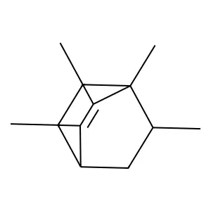 1,2,3,6-Tetramethylbicyclo[2.2.2]oct-2-ene structure