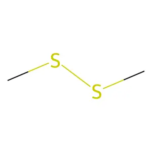 Dimethyl disulfide structure