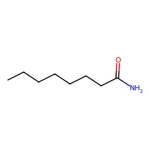 Octanamide structure