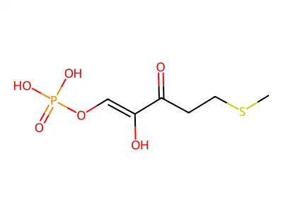 RefChem:935481 structure