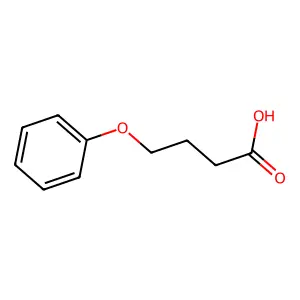 Compound C10H12O3 structure