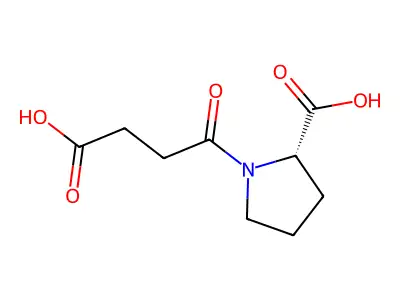 N-Succinyl-L-proline structure