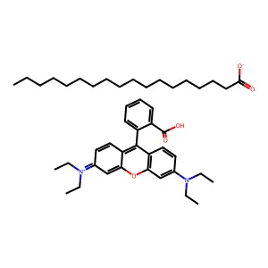 Rhodamine B-stearate structure